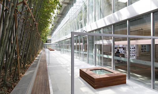 Bamboo Garden
